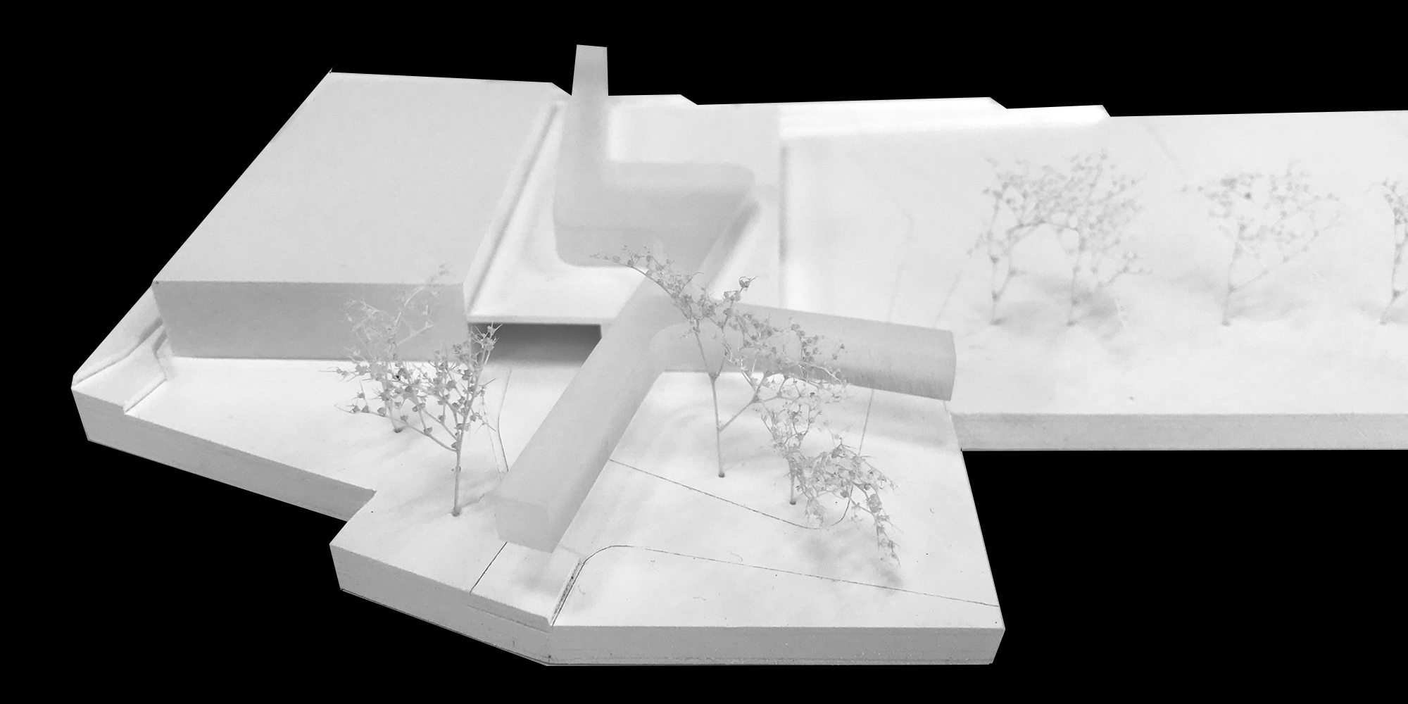 placeholder image-sq