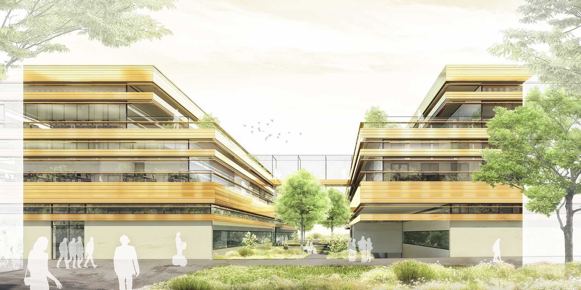 placeholder image-sq