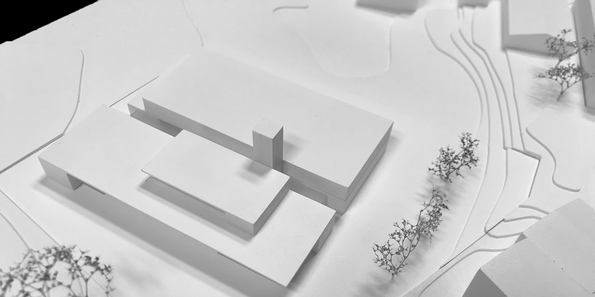 placeholder image-sq